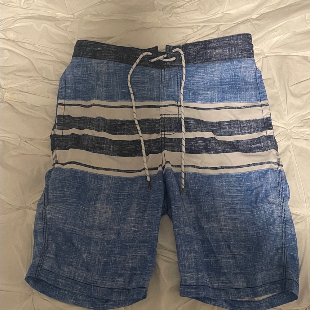 Blue and White Striped Swim Shorts